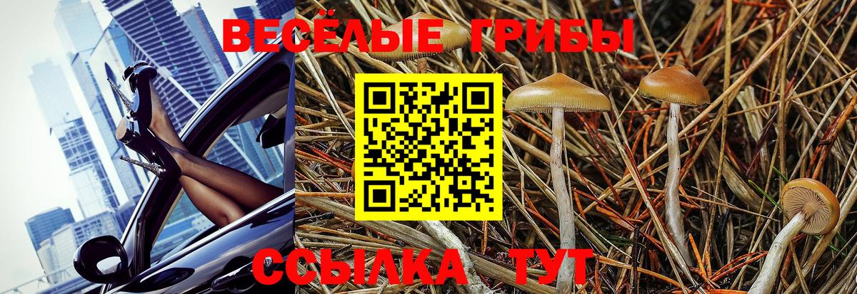 Старая Купавна  Псилоцибиновые грибы Cubensis  Вход с VPN 
